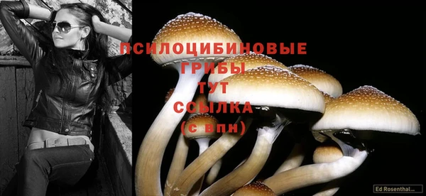 мдма Ельня
