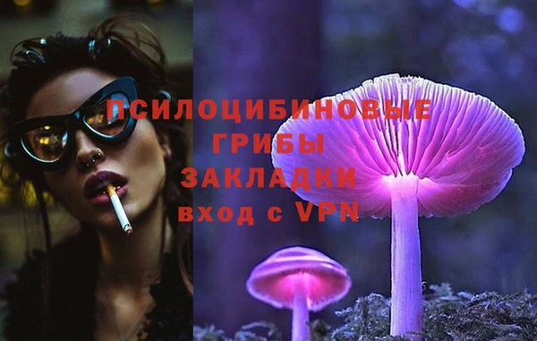 мдма Ельня