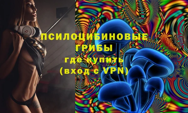 мдма Ельня