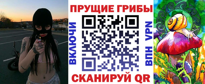 Купить закладки  Сасово  Псилоцибиновые грибы мицелий 